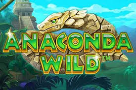 Kajian Permainan Slot Online Anaconda Wild dari Playtech