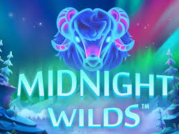 Kajian Game Slot Online Midnight Wilds dari Playtech